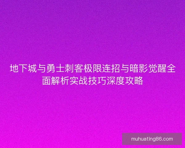地下城与勇士刺客极限连招与暗影觉醒全面解析实战技巧深度攻略